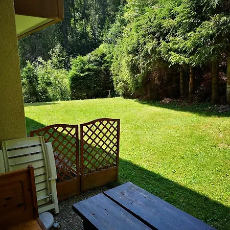 Appartment Leo Schoenwald im Schwarzwald Exterior photo